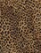 Leopard Leopard Skin Collection Cotton Fabric by Timeless Treasures